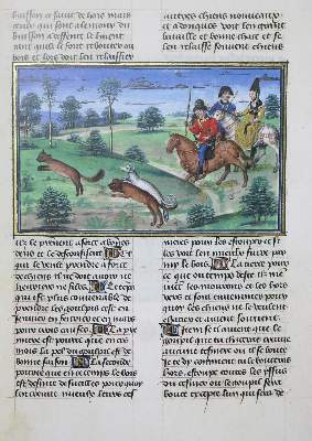 Bild Nr.1: 133-569 Le Livre du Roy Modus.: (Faksimile)
