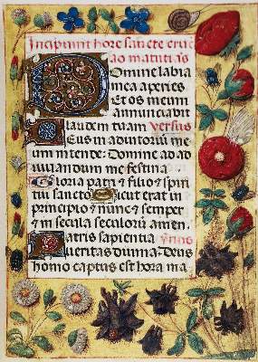 Bild Nr.5: 133-571 Liber Horarum.: (Faksimile)