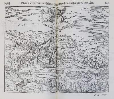 Bild Nr.2: 133-576 Münster,S.: (Faksimile)