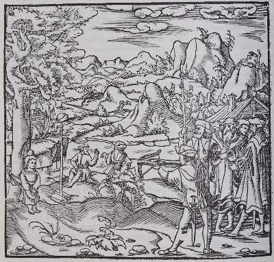 Bild Nr.3: 133-576 Münster,S.: (Faksimile)