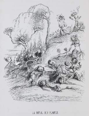Bild Nr.1: 133-781 Grandville,J.J.(d.i. J.J.J.Gerard),: (Grandville)