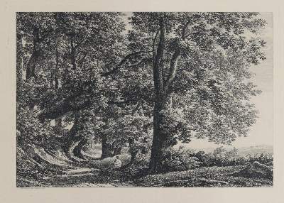 Bild Nr.3: 133-848 Reinhart,J.C.: (Literatur und illustrierte Bücher bis 19.Jahrhundert)