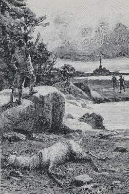 Bild Nr.1: 133-900 Verne,J.: (Literatur und illustrierte Bücher bis 19.Jahrhundert)