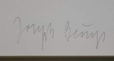 Bild Nr.2: 133-939 Joseph Beuys.: (Beuys)