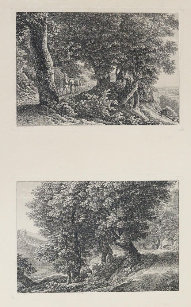 Große Abbildung Nr.1: 134-1087 Reinhart,J.C.: (Literatur und illustrierte Bücher bis 19.Jahrhundert)