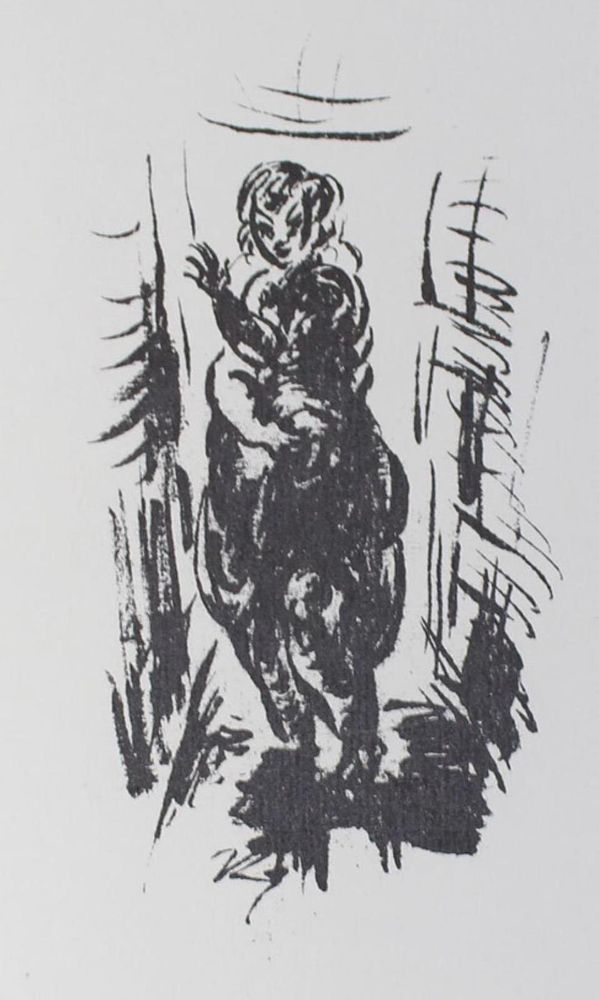 Große Abbildung Nr.1: 134-1367 Ziegler, Richard: (Literatur und illustrierte Bücher 20.Jahrhundert - Alte Literatur in modernen Ausgaben)