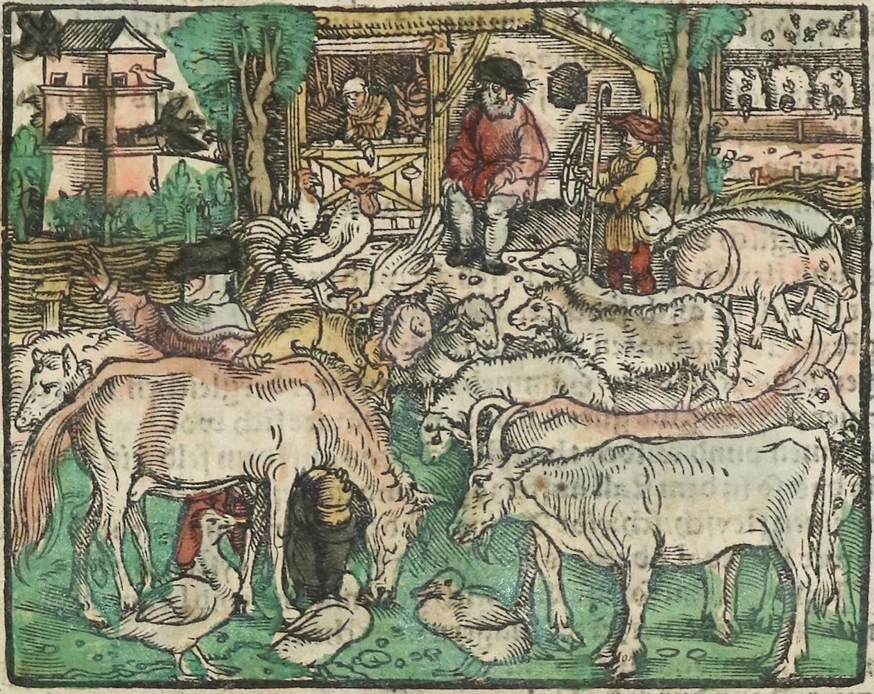 Große Abbildung Nr.1: 134-1382 Loncier,A.: (Botanik, Kräuterbücher)