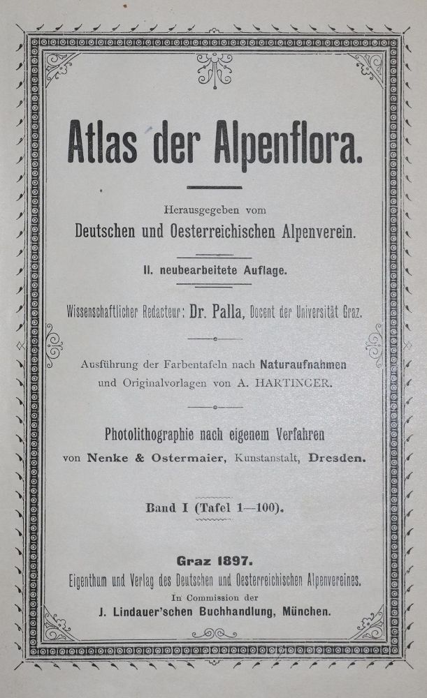 Große Abbildung Nr.2: 134-1385 Palla,E.: (Botanik)