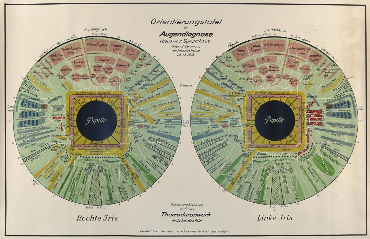 Große Abbildung Nr.4: 134-1395 Akupunkturtafel: (Medizin, Akupunktur)