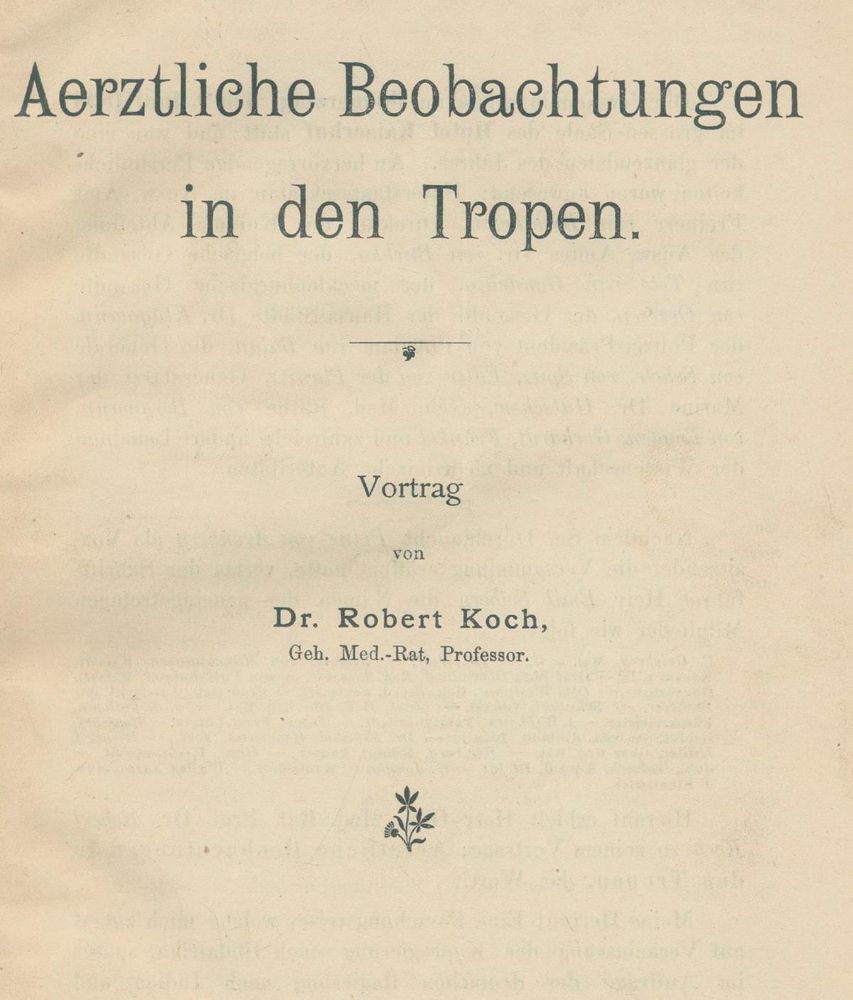 Große Abbildung Nr.1: 134-1428 Koch,R.: (Medizin)