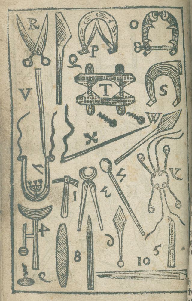Große Abbildung Nr.3: 134-1456 Pluvine,A. u. St.Bracciolini.: (Medizin, Veterinärmedizin)