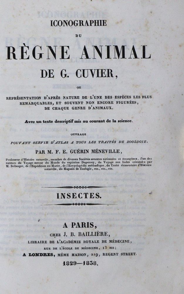 Große Abbildung Nr.1: 134-1472 Cuvier,G.: (Zoologie, Insekten)