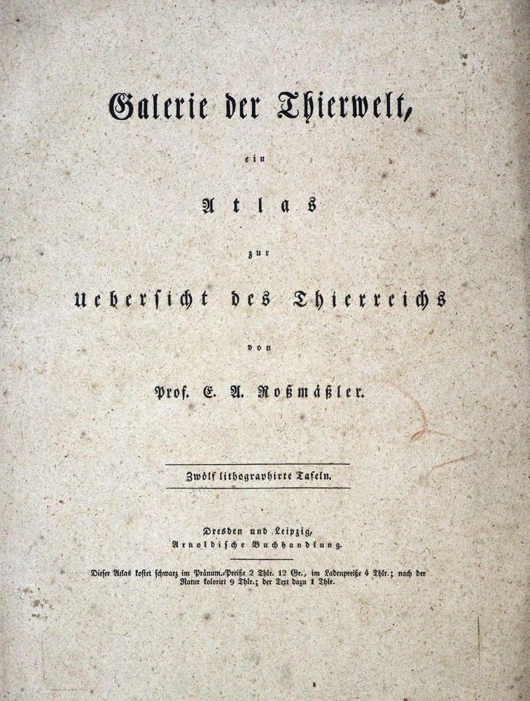 Große Abbildung Nr.9: 134-1479 Naturhistorische Bildersammlung: (Zoologie)