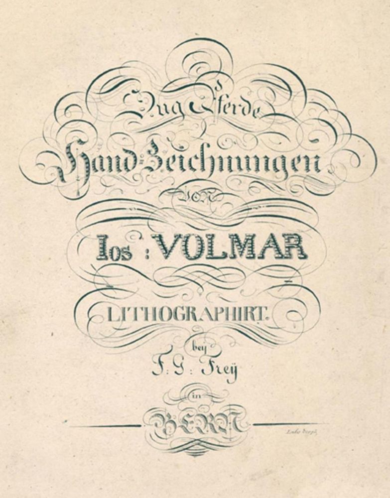 Große Abbildung Nr.1: 134-1481 Volmar, Joseph Simon: (Zoologie, Pferde)