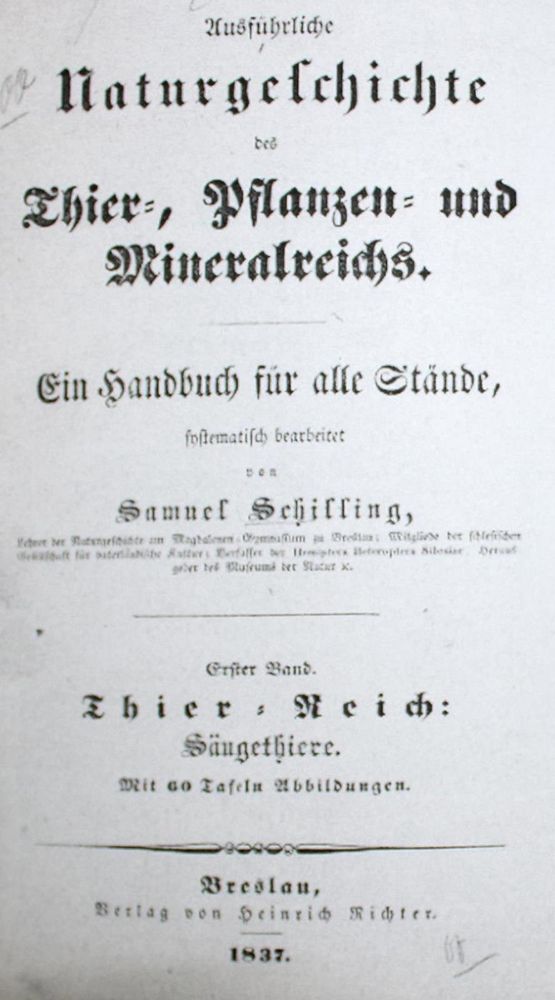 Große Abbildung Nr.2: 134-1484 (Schilling,S.: (Zoologie)