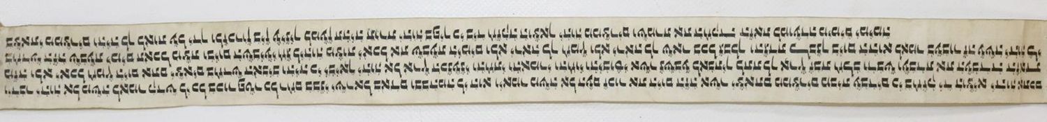 Große Abbildung Nr.1: 134-153 Hebräische Handschrift.: (Handschriften)