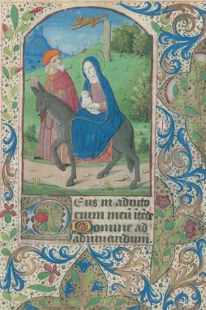 Große Abbildung Nr.10: 134-154 Horae Beatae Mariae Virginis.: (Handschriften)