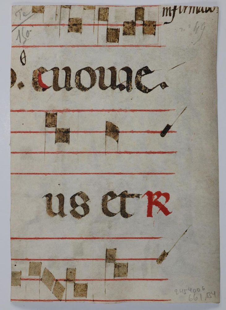 Große Abbildung Nr.2: 134-156 Initiale R.: (Handschriften)