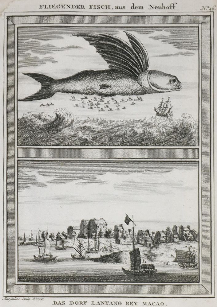 Große Abbildung Nr.1: 134-1596 Allgemeine Historie der Reisen: (Afrika)