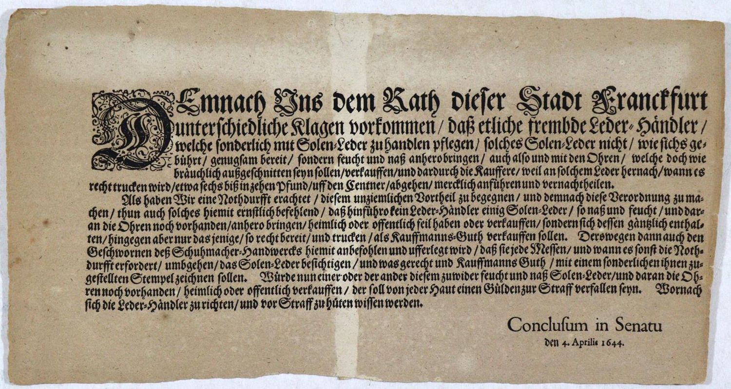 Große Abbildung Nr.1: 134-1725 Frankfurt am Main.: (Deutschland, Frankfurt, Schuhe)