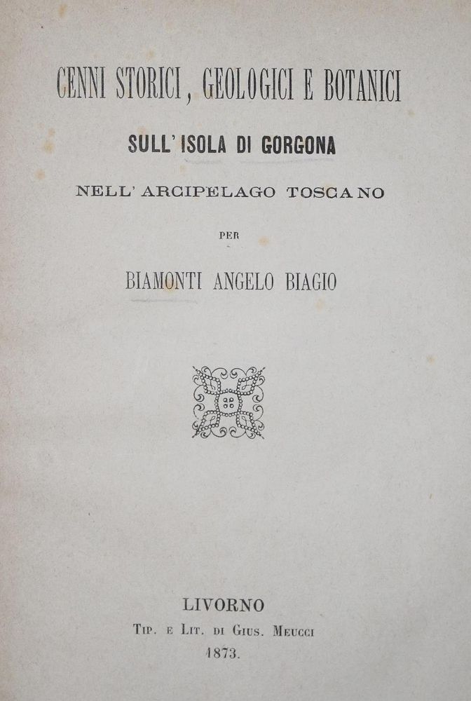 Große Abbildung Nr.1: 134-1879 Biamonti,A.B.: (Italien)