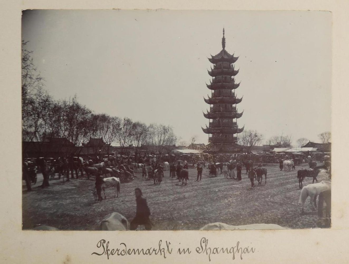 Große Abbildung Nr.8: 134-2607 Photoalbum: (China, SMS Luchs)