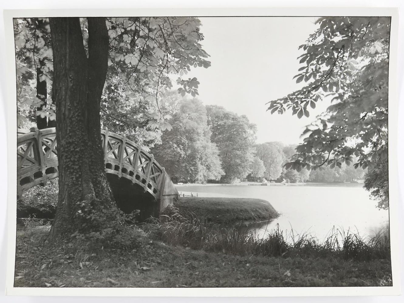 Große Abbildung Nr.1: 134-2668 Wolff, Paul: (Photographie)