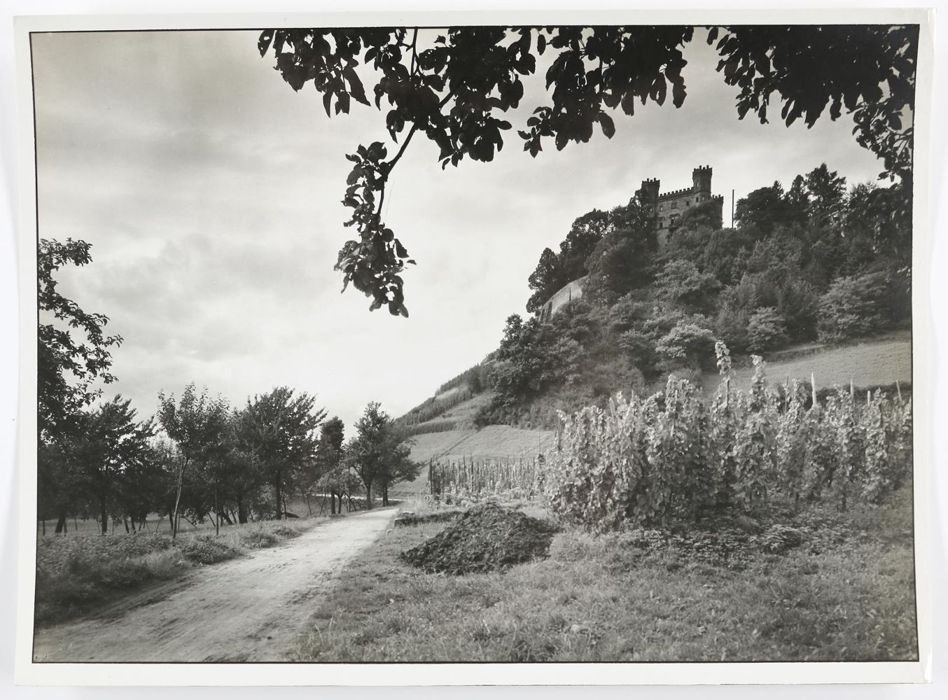 Große Abbildung Nr.1: 134-2670 Wolff, Paul: (Photographie)