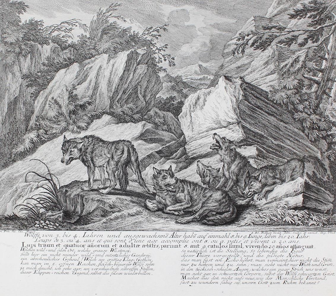 Große Abbildung Nr.5: 134-2740 Jagdkunst.: (Varia, Jagd, Ridinger)