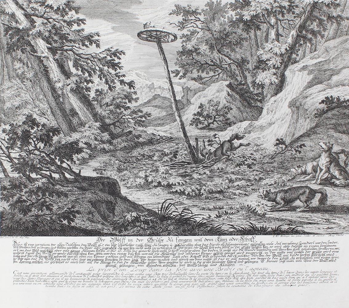 Große Abbildung Nr.2: 134-2742 Wolfsjagd.: (Varia, Jagd, Ridinger)