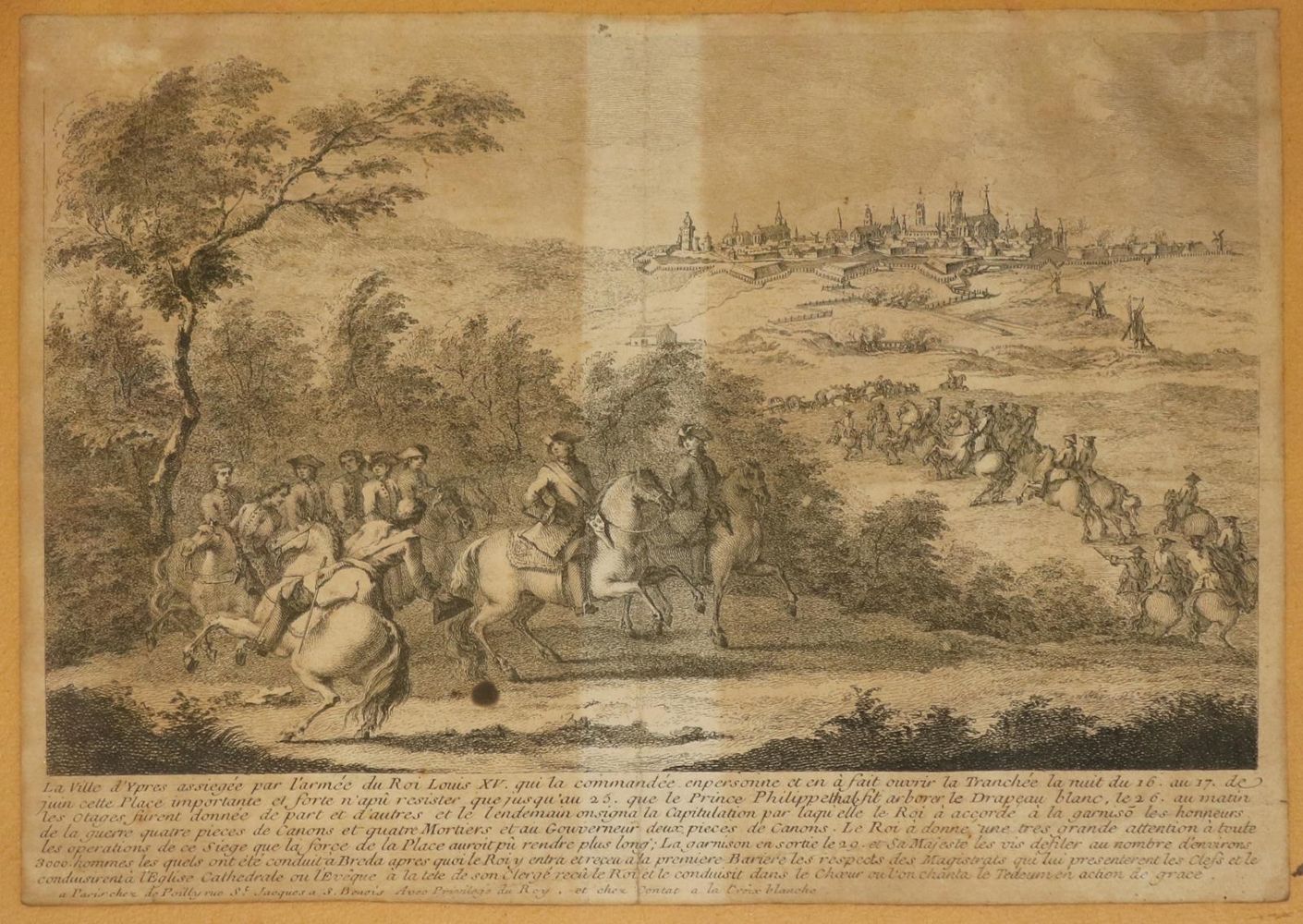 Große Abbildung Nr.9: 134-2784 Konvolut: (Varia, Pferdesport)