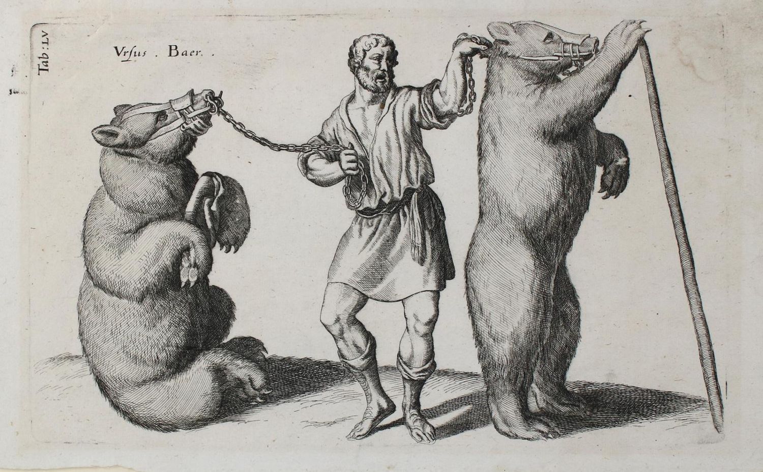 Große Abbildung Nr.1: 134-2818 Tanzbären.: (Varia, Zirkus, Bären)