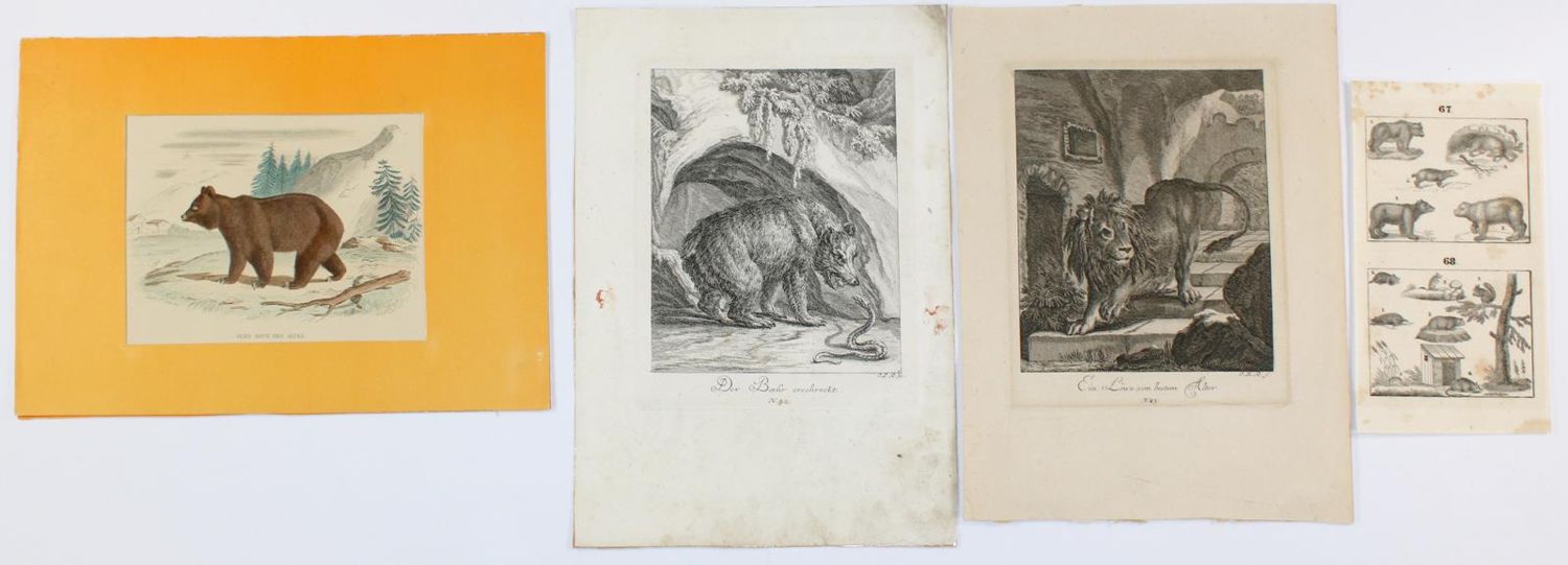 Große Abbildung Nr.2: 134-2819 Ridinger,J.E.: (Varia, Zoologie, Bären)