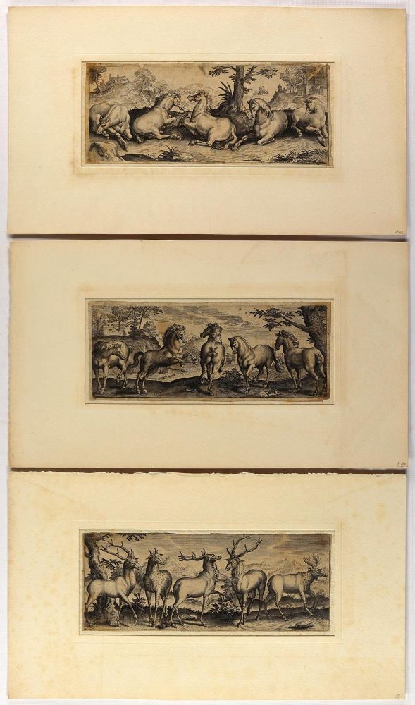 Große Abbildung Nr.3: 134-2824 Tiere.: (Varia, Zoologie)