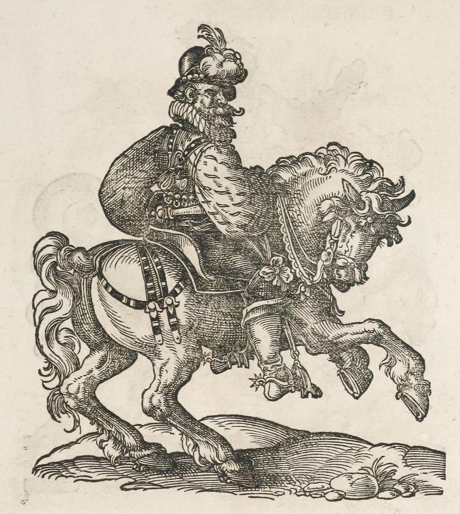 Große Abbildung Nr.2: 134-285 Grisone,F.: (Pferde)