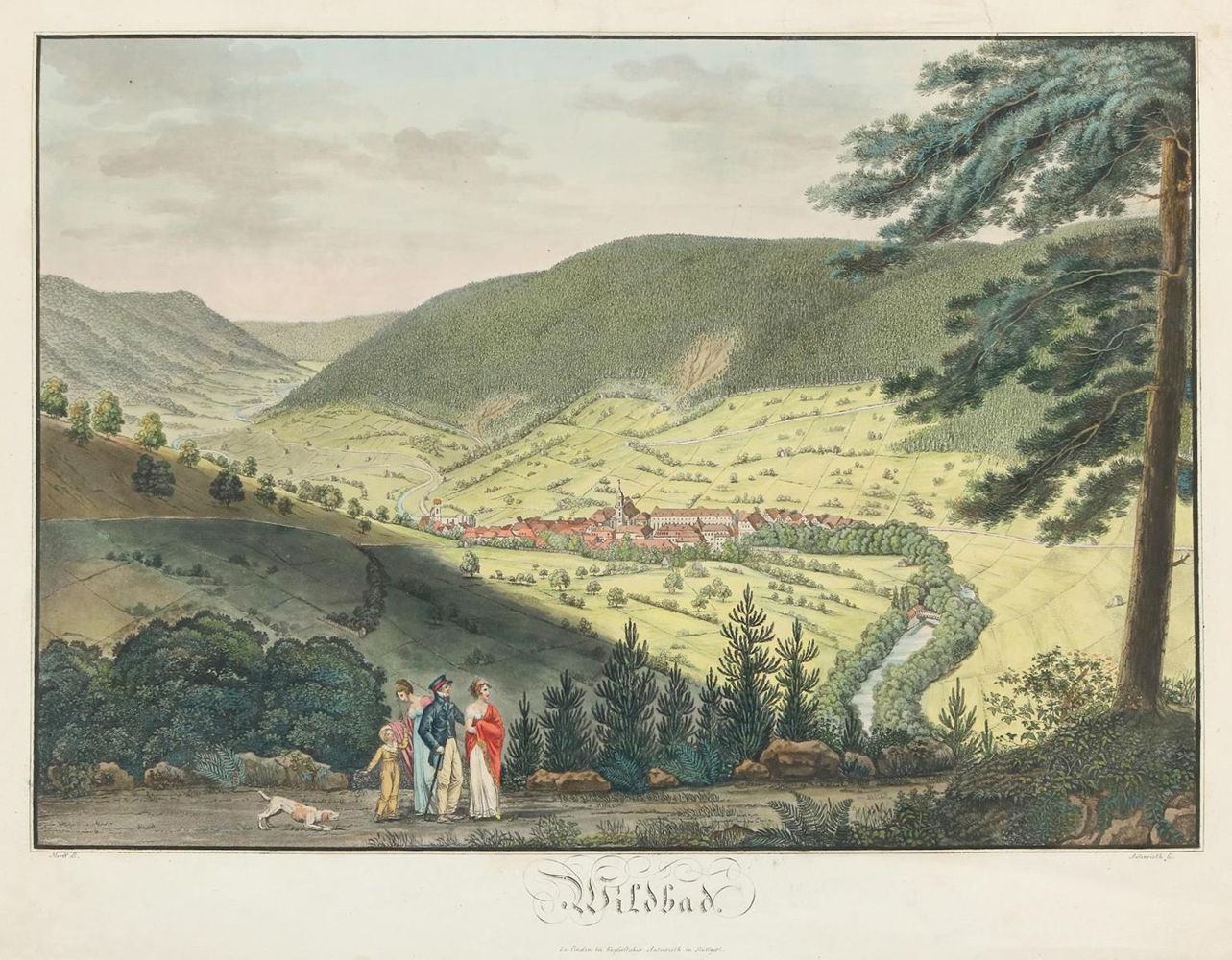 Große Abbildung Nr.1: 134-2902 Wildbad.: (Deutschland)