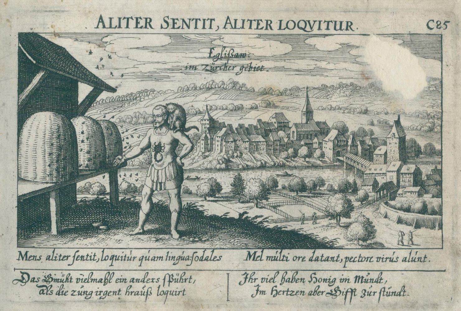 Große Abbildung Nr.2: 134-3131 Sammlung: (Ausland, Schweiz)