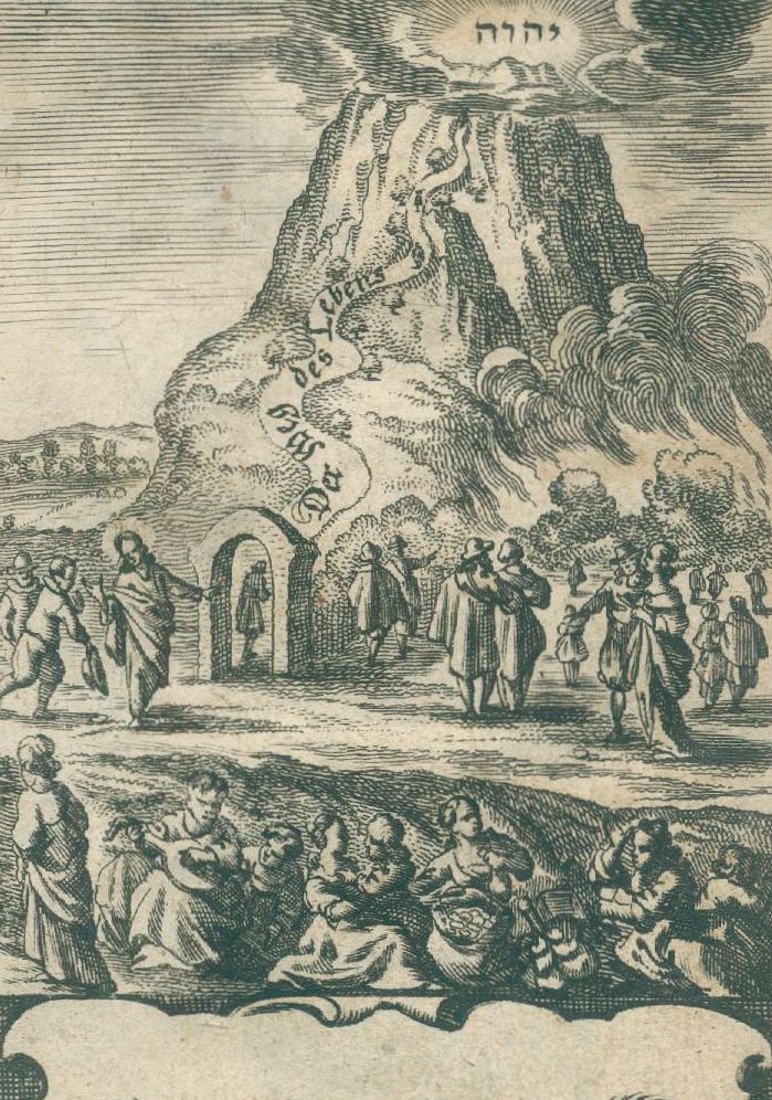 Große Abbildung Nr.1: 134-332 Saldenus,W.: (Alte Drucke, Handschriften und Theologie)