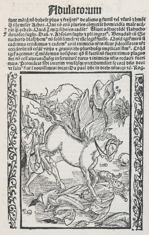 Große Abbildung Nr.1: 134-3404 Dürer, Albrecht: (Künstlergraphik)