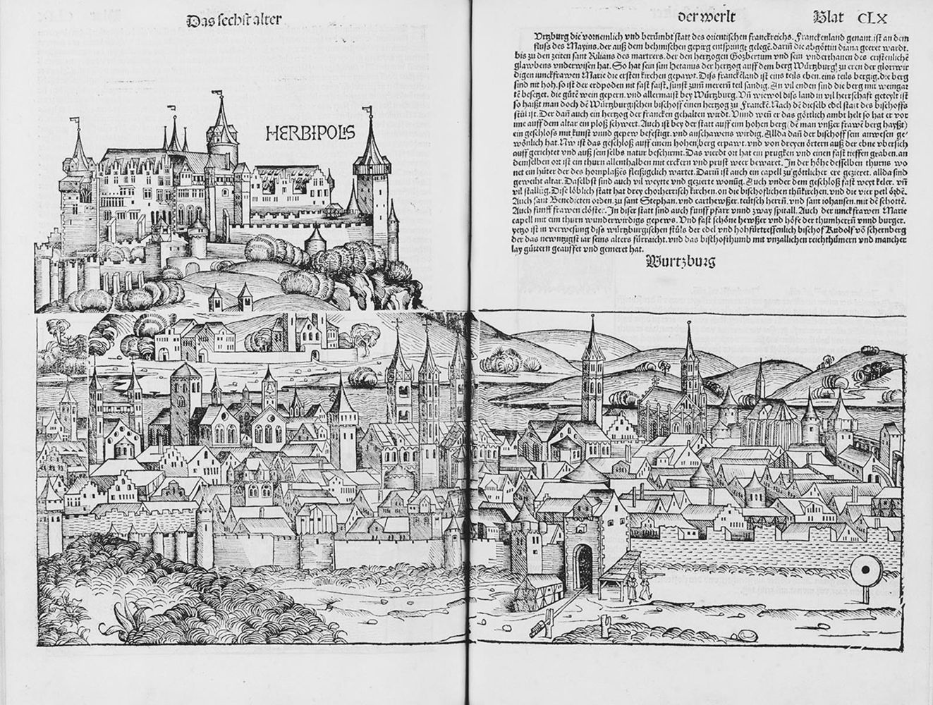 Große Abbildung Nr.1: 134-343 Schedel, Hartmann.: (Alte Drucke, Handschriften und Theologie)