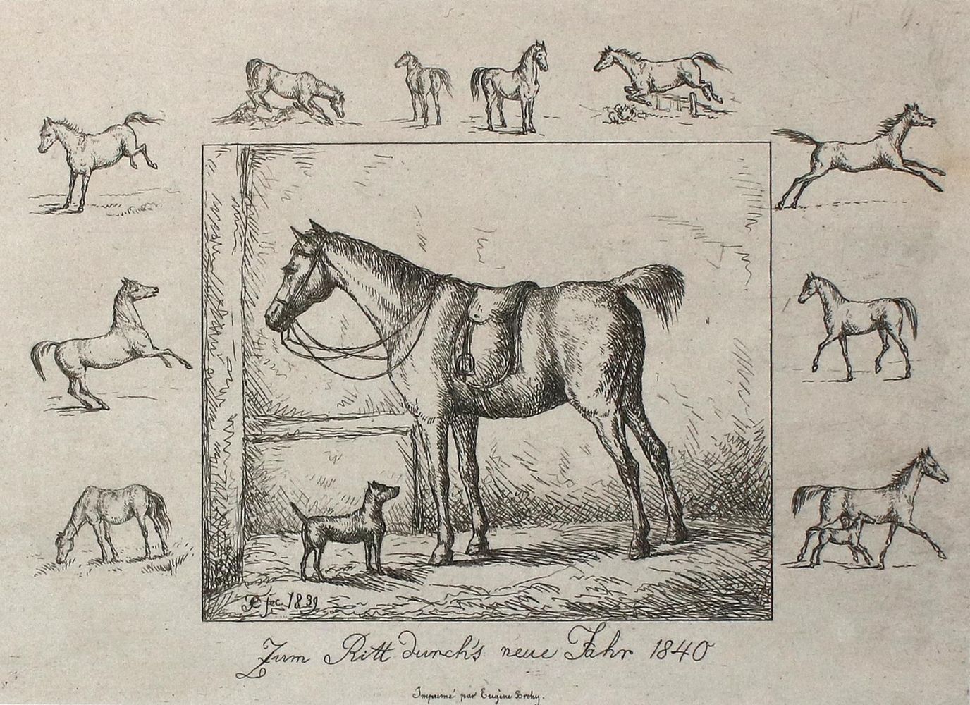 Große Abbildung Nr.1: 134-3487 Fernando II. (Ferdinand August von Sachsen-Coburg u. Gotha,: (Künstlergraphik)