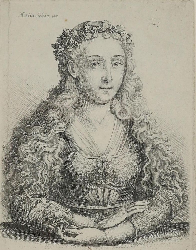 Große Abbildung Nr.3: 134-3668 Hollar, Wenzel: (Künstlergraphik)