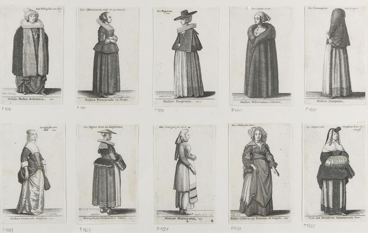 Große Abbildung Nr.4: 134-3668 Hollar, Wenzel: (Künstlergraphik)