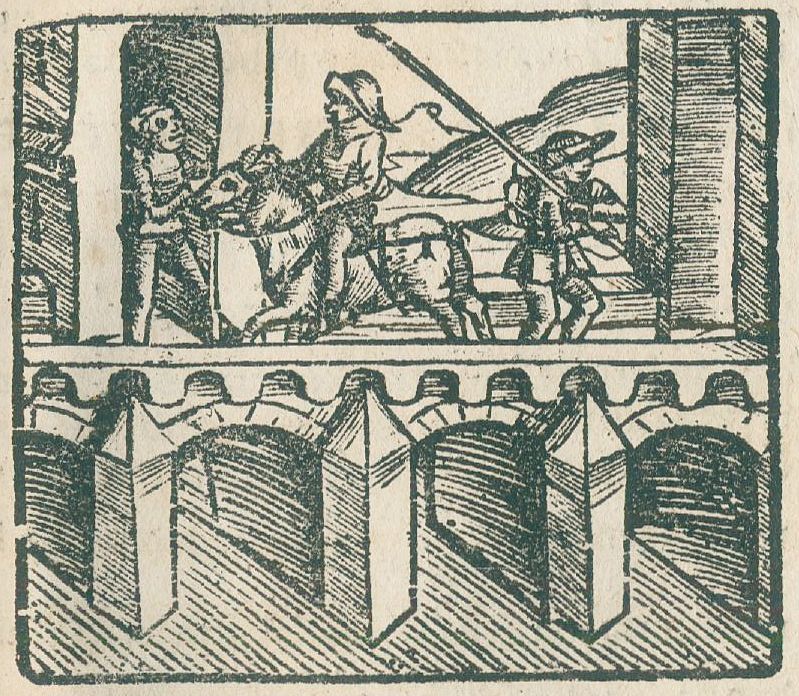 Große Abbildung Nr.3: 134-396 [Widmann, Johann].: (Alte Drucke, Handschriften und Theologie)