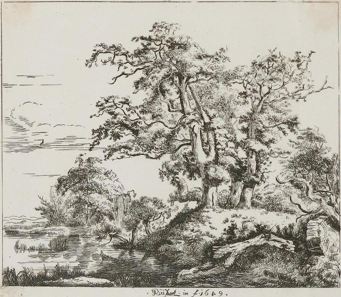 Große Abbildung Nr.1: 134-4144 Ruisdael, Jacob Isaackszoon: (Künstlergraphik)