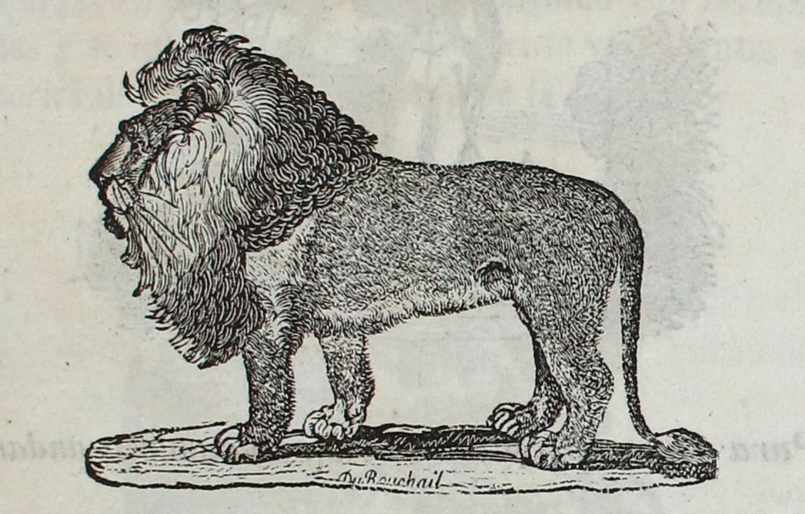 Große Abbildung Nr.2: 134-444 Flamel,H.: (Grenzwissenschaften und Okkultismus)