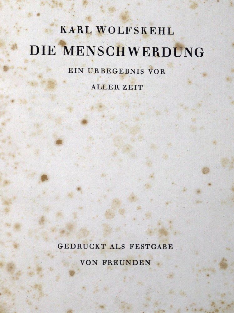 Große Abbildung Nr.71: 134-491 Konvolut: (Varia)