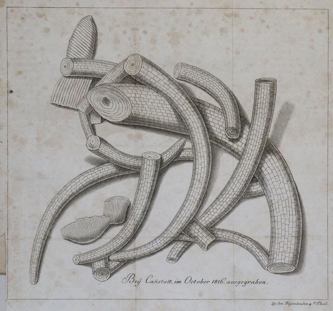 Große Abbildung Nr.1: 134-611 Wildungen,L.C.E.H.F.v.: (Jagd)