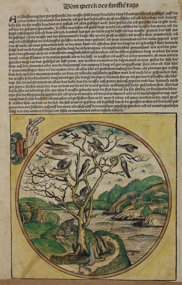 Große Abbildung Nr.1: 134-66 Schedel.: (Buchholzschnitte)