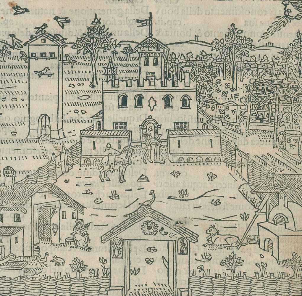 Große Abbildung Nr.1: 134-85 Crescentiis,P.de.: (Alte Drucke, Handschriften und Theologie)
